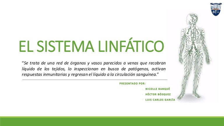 Que son los ganglios linfaticos pelvicos
